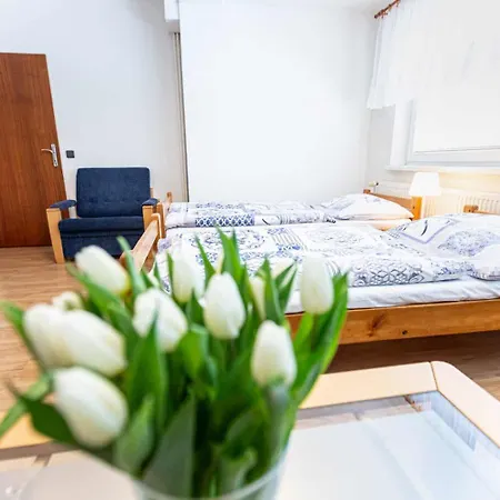 Na Vysluni Guest house