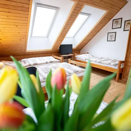 Guest house Na Vysluni *